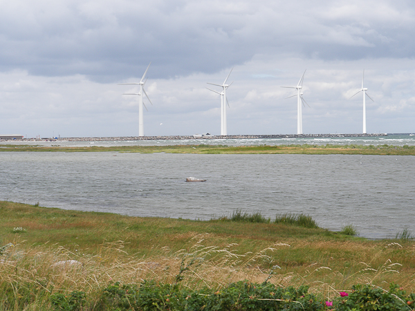VERBUND, liderul pieţei de energie electrică din Austria, construieşte unul dintre cele mai mari parcuri eoliene pe uscat din Europa