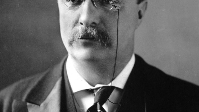 Teddy Roosevelt, soldatul care a condus SUA la începutul secolului trecut