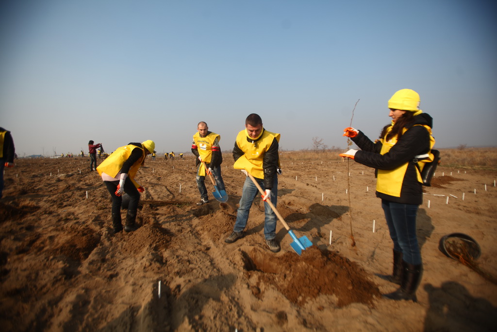 Peste 2 300 de voluntari au plantat peste 100 000 de copaci în 2011 în cadrul programului „Ţara lui Andrei“
