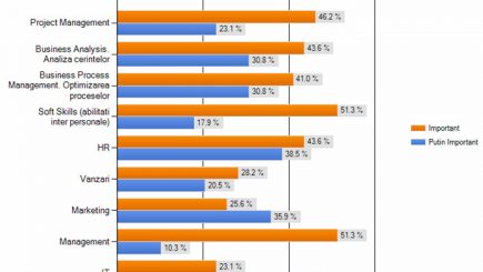 Cultura sefului de trib.Masculinitate vs. feminitate in organizatie