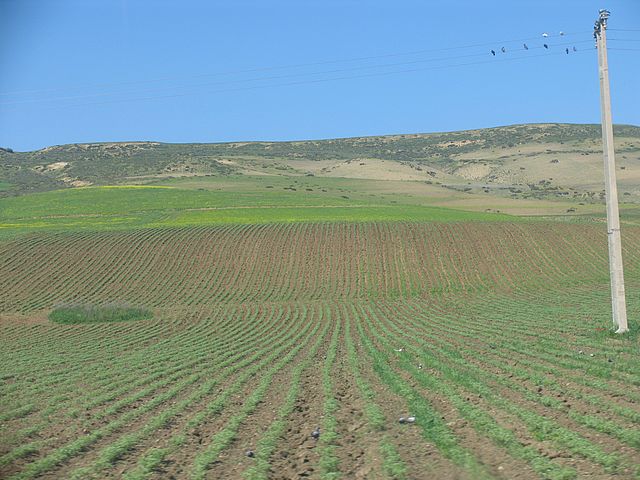 Agricultura românească în context european