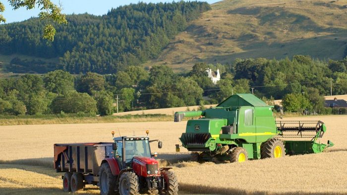 Afacerile în agricultură ar avea un efect pozitiv semnificativ asupra României