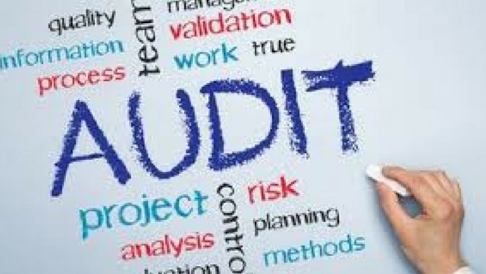 Studiu: ce spun decidenții din cadrul companiilor despre auditul intern