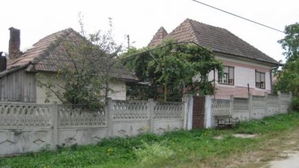 România devine rurală. Corporatiștii migrează la sat