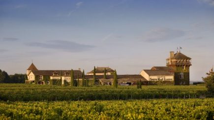 Sportivii de performanţă care au redat viaţa unui celebru domeniu viticol franţuzesc, Chateau Smith Haut Lafitte