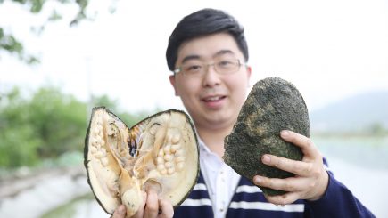 Afacere cu scoici și profit online: Un chinez a câștigat mult cu ajutorul transmisiunilor live