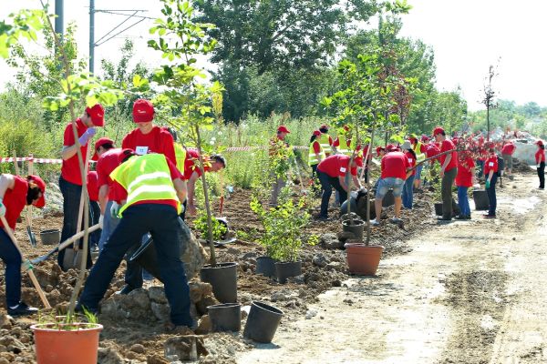1.400 de voluntari vor împăduri 13 hectare de pământ