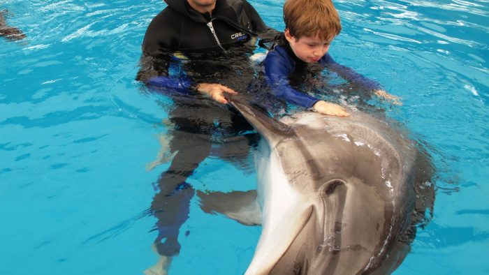 Terapia cu delfini, o cale de vindecare pentru copiii cu nevoi speciale