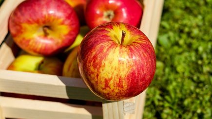 Antreprenorul care vrea să îi determine pe corporatişti să consume fructe proaspete la birou