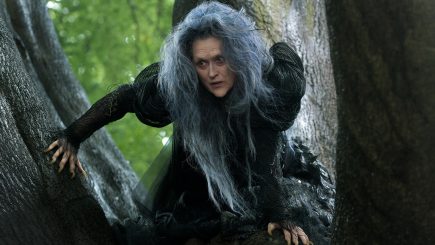 Câștigătorul invitației duble la filmul „Into the woods”