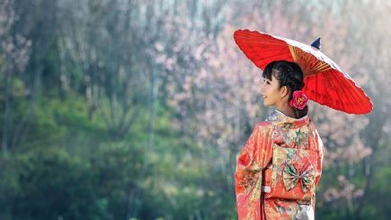 O foarte bună oportunitate pentru români de a fi iniţiaţi în arta japoneză şi, poate, de a găsi noi căi de dezvoltare personală