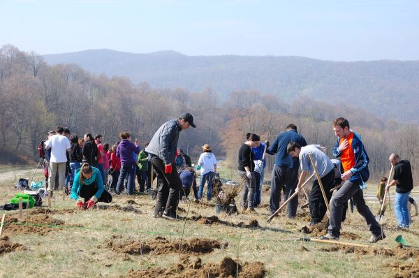 „Plantăm fapte bune în România” finalizează împăduririle din acest sezon