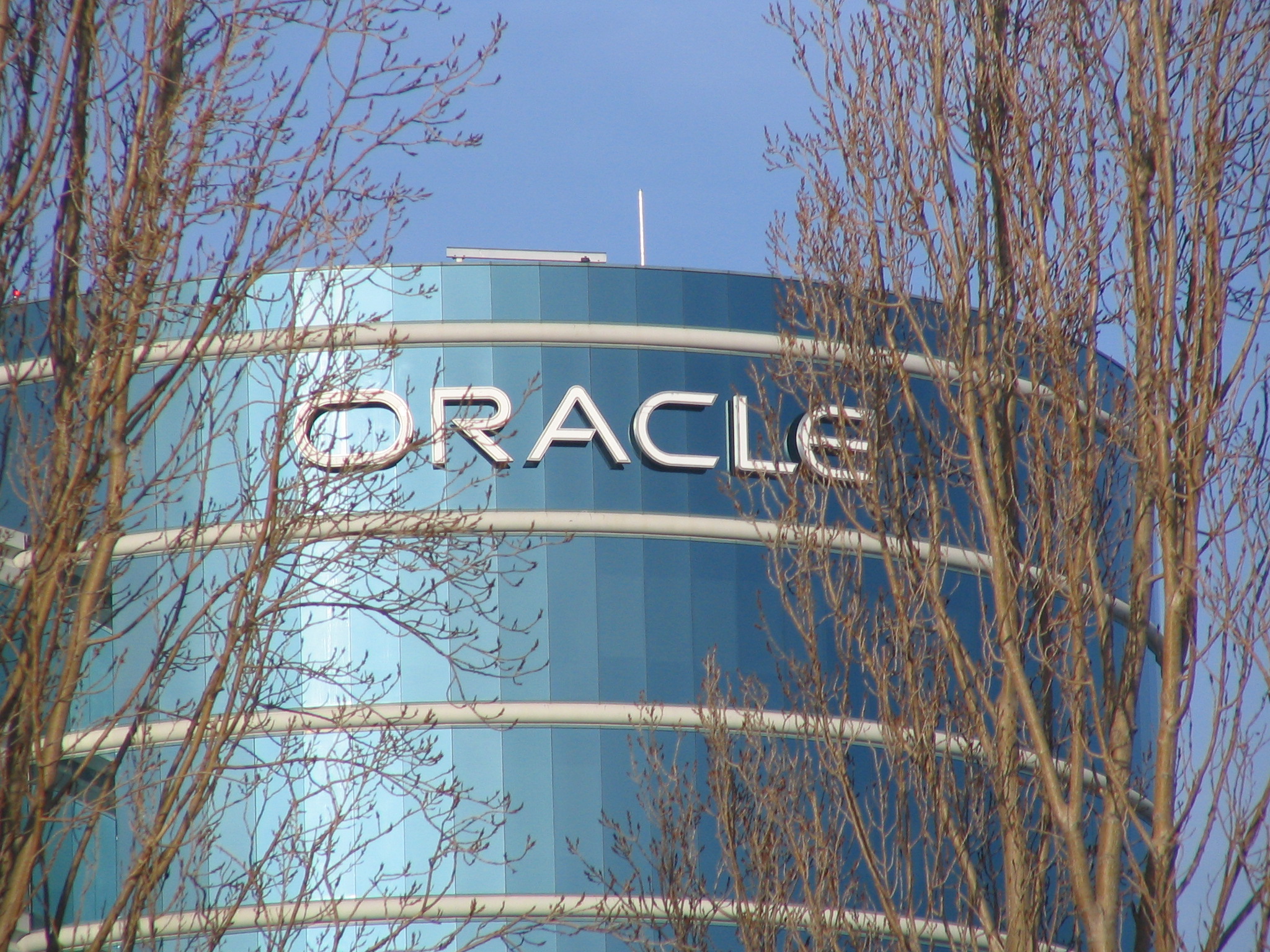 Oracle face angajări în regiunea EMEA