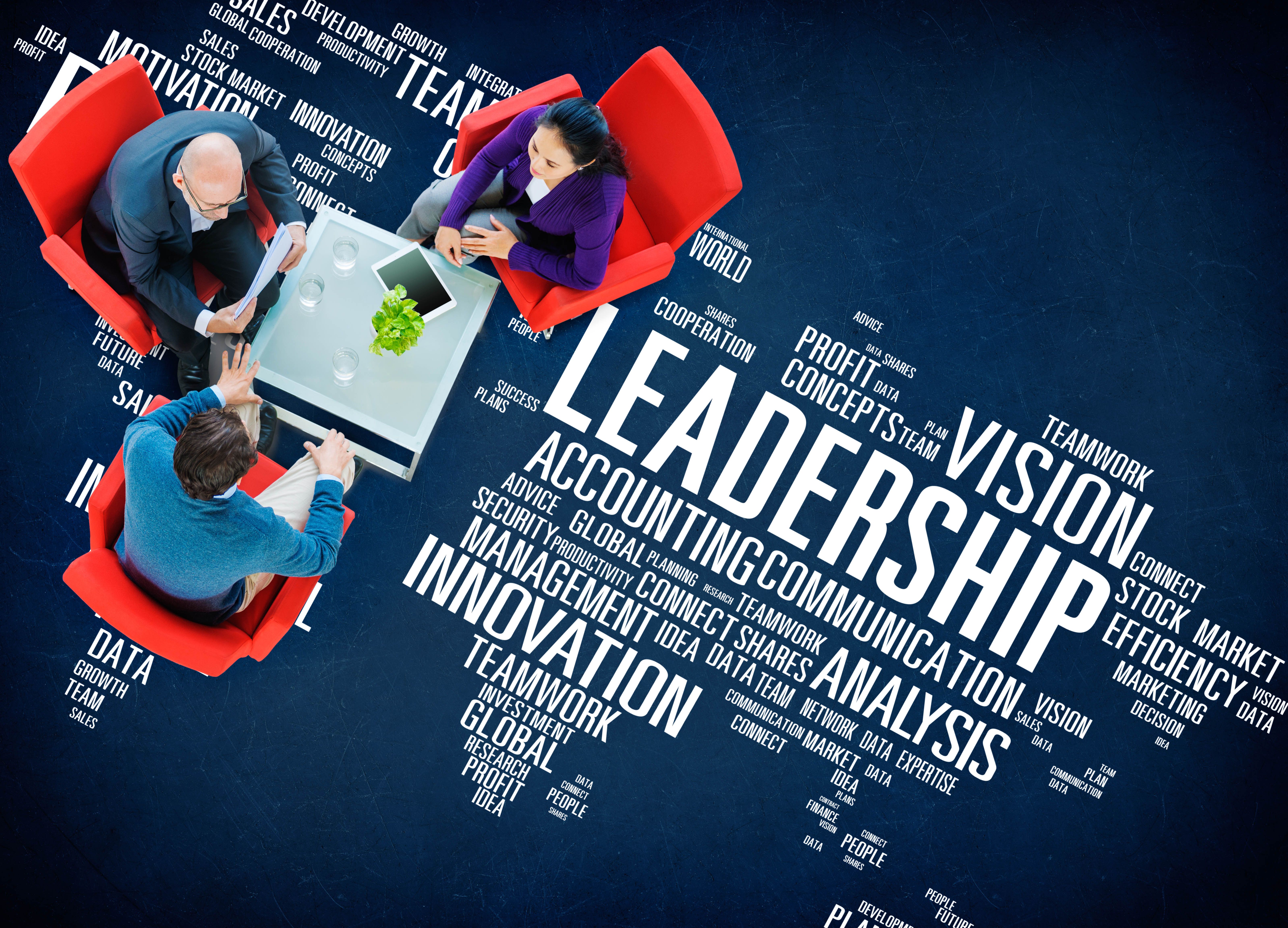 Cum influențează tipul de leadership cultura organizațională