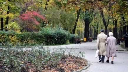 Numărul pensionarilor a scăzut în trimestrul trei iar pensia medie a crescut cu 1 leu