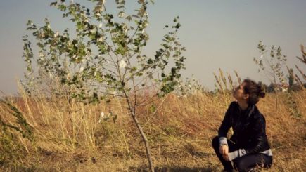 Împreună „Plantăm fapte bune în România” pe 22 noiembrie în Ialomița, Iași și Constanța