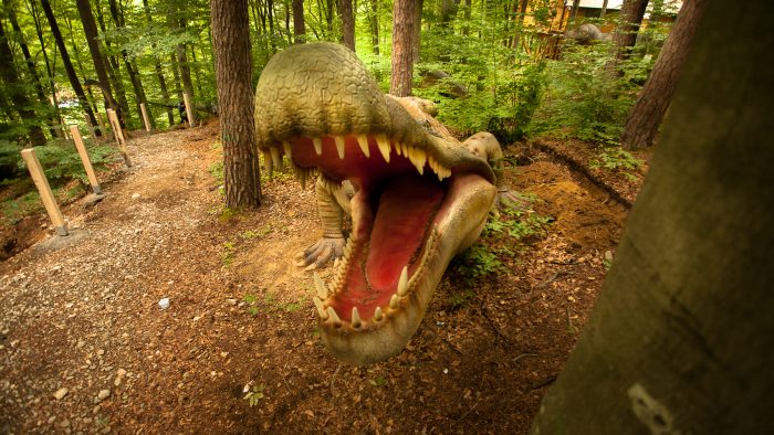Dino Parc Râșnov, cel mai mare parc cu dinozauri din sud-estul Europei, la inaugurare