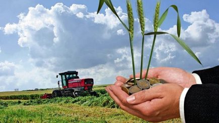 “Noi suntem și ne simțim fermieri, nu suntem tânăra mireasă a unui multimilionar!”. Roadele pasiunii unui business dedicat fermierului român