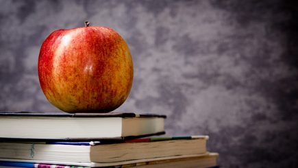 Peste 30.000 de copii vor fi sprijiniţi să meargă la şcoală prin „Școala pentru toți”