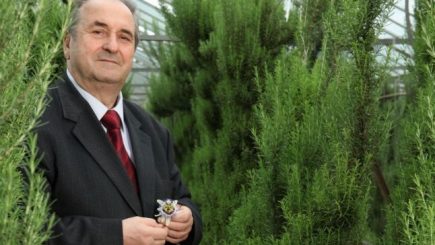Ștefan Manea: În jurul unui lider oamenii se adună ca „fluturii la bec”