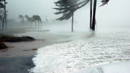Cum influenţează fenomenele meteo extreme rata şomajului