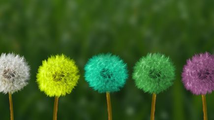 Personal branding în ecuația employer branding. Cum reușește o firmă să aibă mereu cel mai bine poziționați angajați
