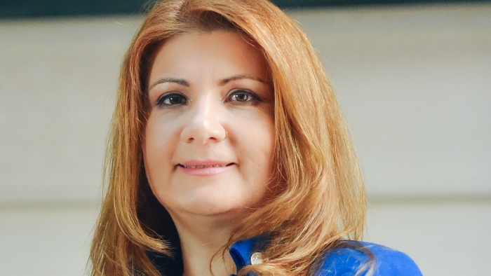 Ileana Botez, noul președinte al  Professional Women’s Network România