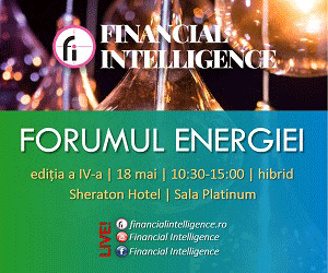 Financial Intelligence, Forumul Energiei
