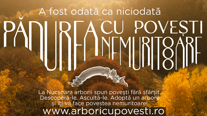 2544 de fagi seculari de la Nucșoara pot fi adoptați în cadrul „Pădurii Poveștilor Nemuritoare”