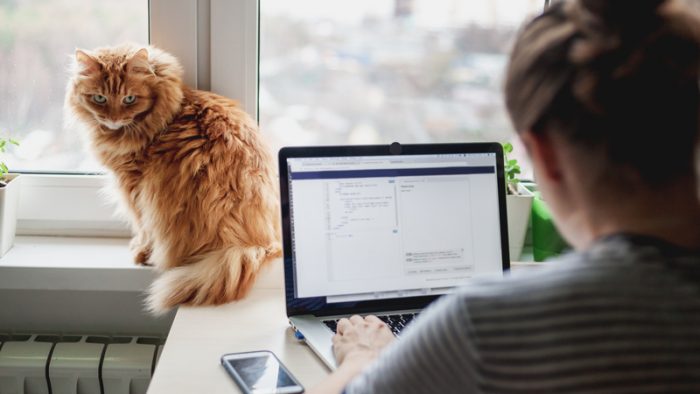 Cât de des ar trebui să-ți refaci structura de oferte, ca freelancer? Răspunsul nu e „când ai timp”