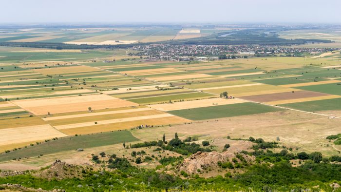 România agricolă are nevoie de coerență și viziune pentru valorificarea potențialului