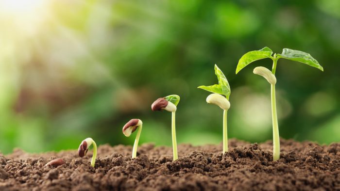 România contribuie cu 23% la forța de muncă agricolă a Uniunii Europene