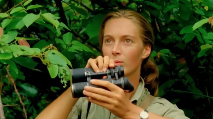 Longevitate în carieră | Jane Goodall, primatolog: Ceea ce faci contează, trebuie să decizi ce fel de diferență vrei să faci