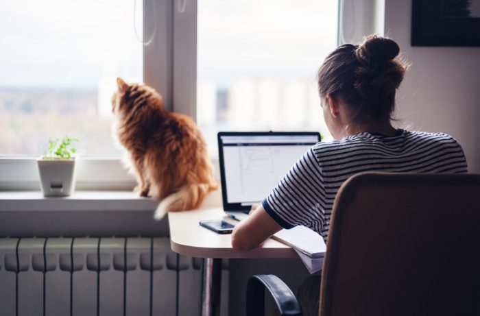 Inboxul cu tăceri: ce înseamnă când nu ți se mai răspunde și cum decizi dacă insiști, ca freelancer