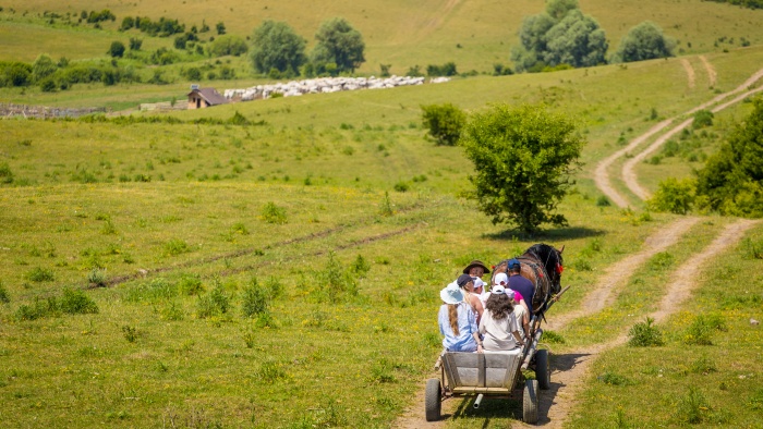Ecoturism în Munții Făgăraș: locul unde pădurile vorbesc și satele te primesc cu inima deschisă