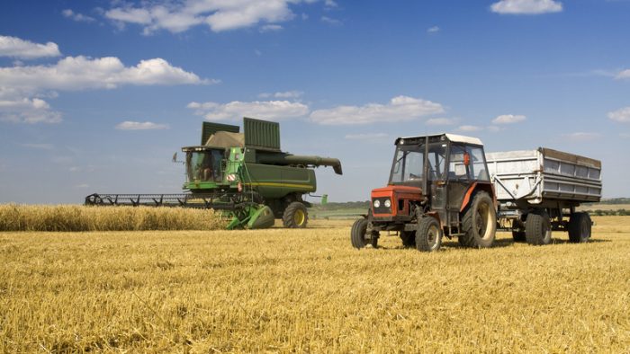 Profitul Agricover a crescut cu 55%. A ajuns la 62,7 milioane lei, după primele șase luni din 2025