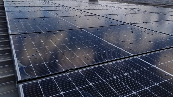 LONGi și Enexus își intensifică colaborarea: 300 MW de module fotovoltaice pentru proiecte solare din România